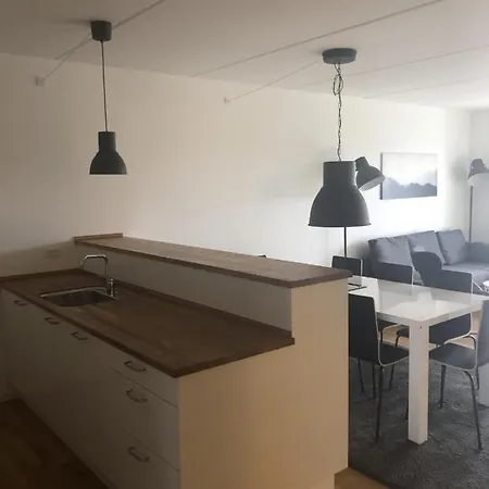 3 Bedroom At Margretheholmsvej With Balcony Near The Opera House And The Center 2 Apartmán