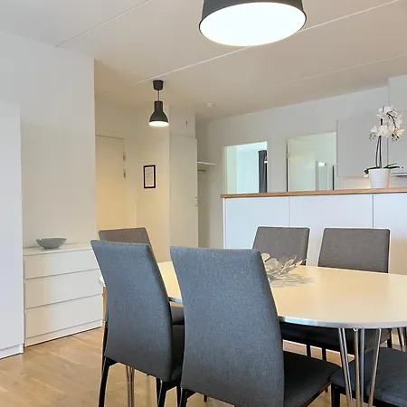 3 Bedroom At Margretheholmsvej With Balcony Near The Opera House And The Center 2 *